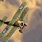 Подробнее о Dogfight 2